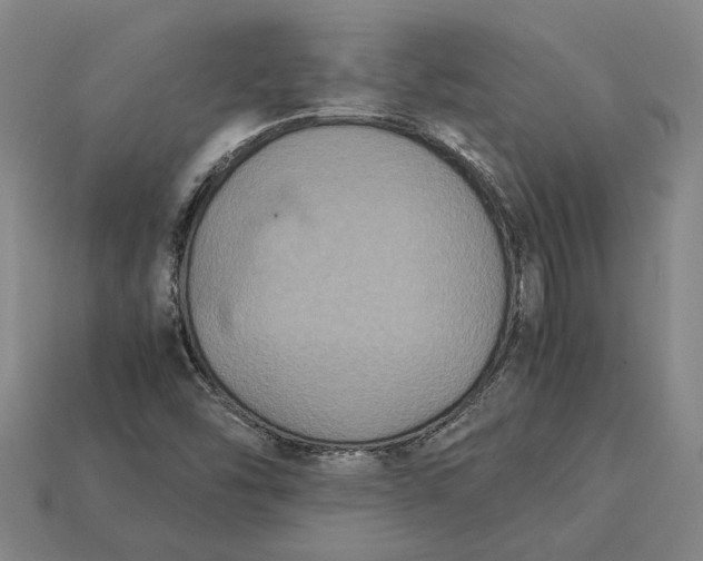 X0000115281454200911131818