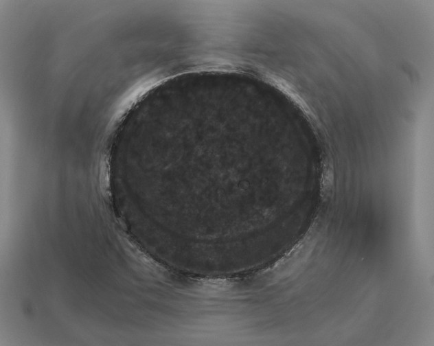 X0000115281455200911131818