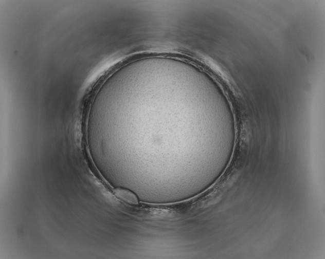 X0000115281456200911131818