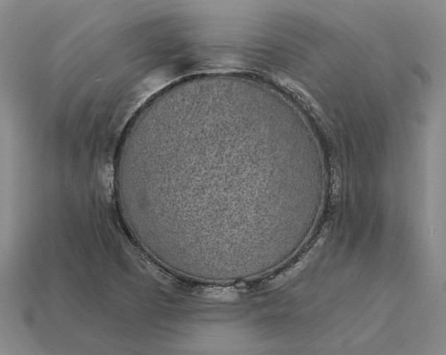 X0000115281457200911131818