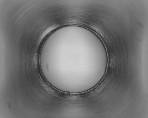 X0000115281458200911131818