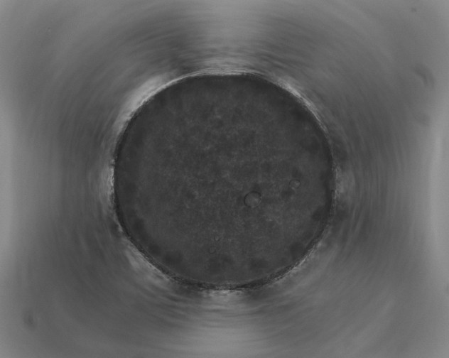 X0000115281459200911131818