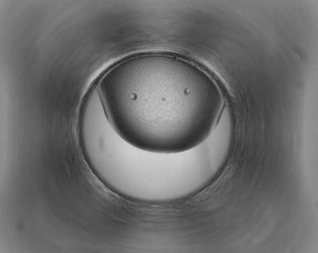 X0000115281460200911131818