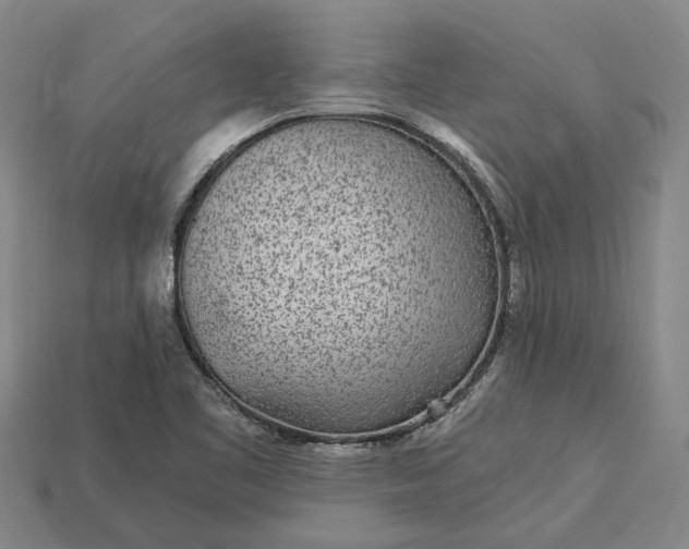 X0000115281461200911131818