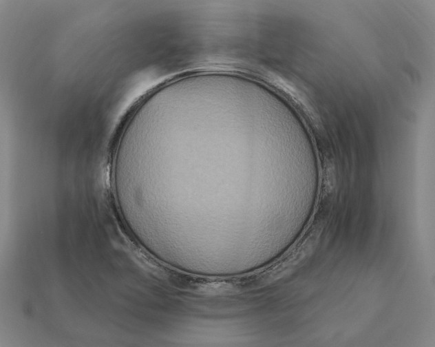 X0000115281462200911131818