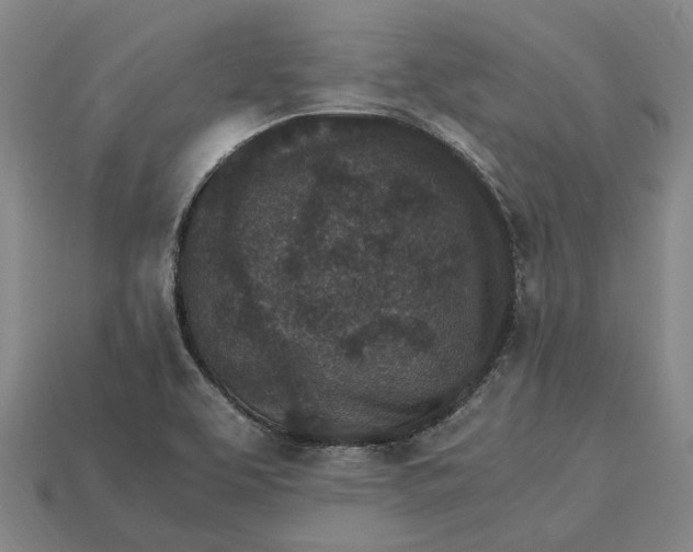 X0000115281463200911131818