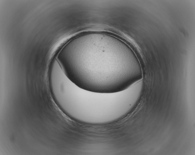 X0000115281464200911131818