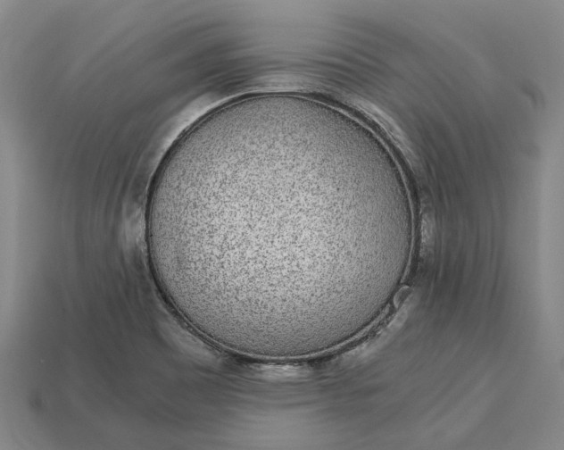 X0000115281465200911131818