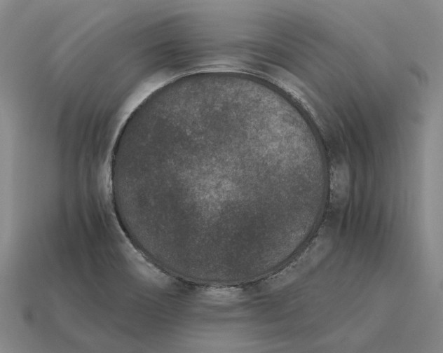 X0000115281466200911131818