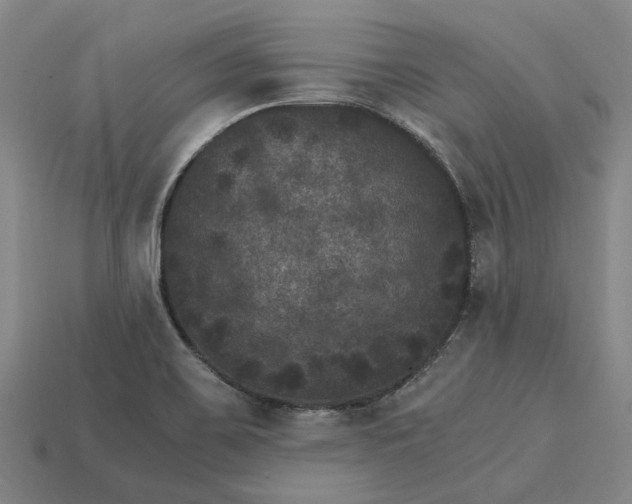 X0000115281467200911131818