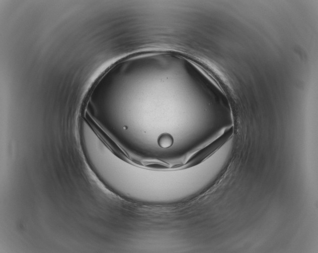 X0000115281468200911131818