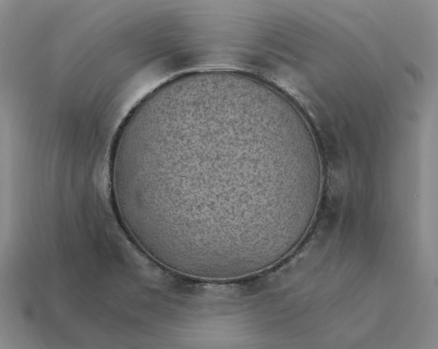 X0000115281469200911131818