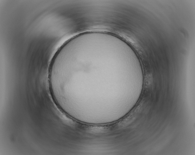 X0000115281470200911131818