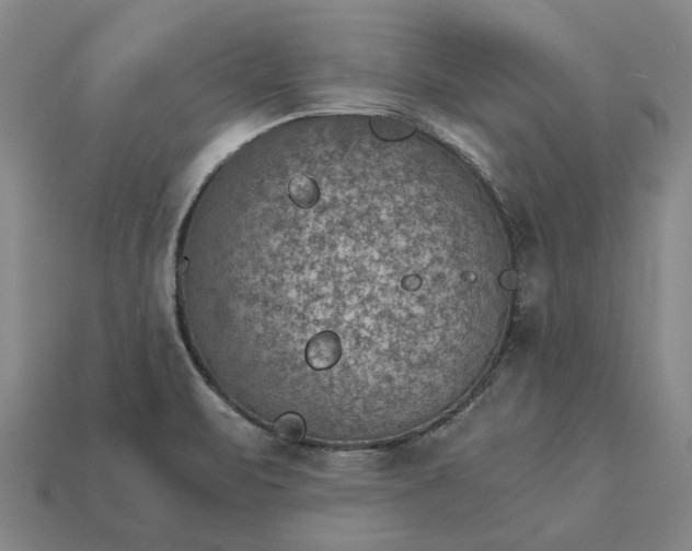 X0000115281471200911131818