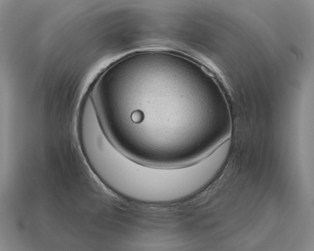 X0000115281472200911131818