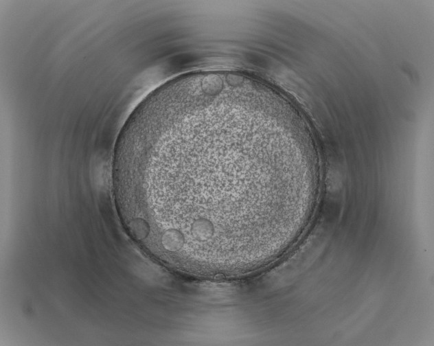 X0000115281473200911131818