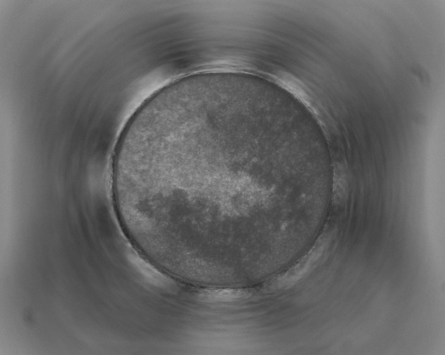 X0000115281474200911131818