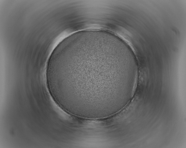 X0000115281475200911131818