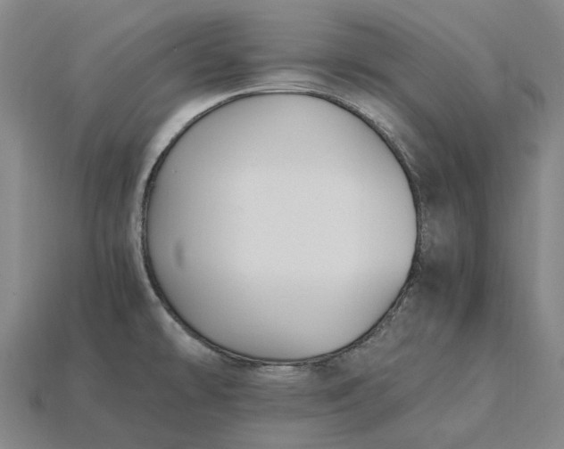 X0000115281478200911131818