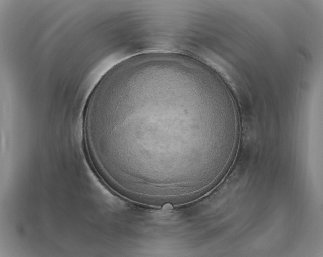 X0000115281479200911131818