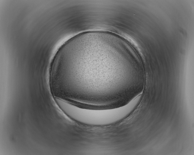 X0000115281480200911131818