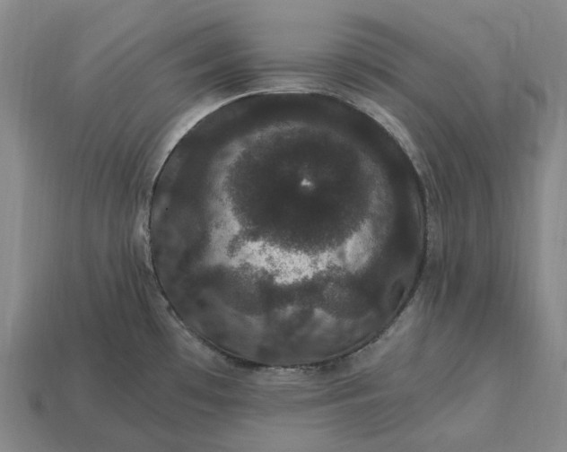 X0000115281481200911131818