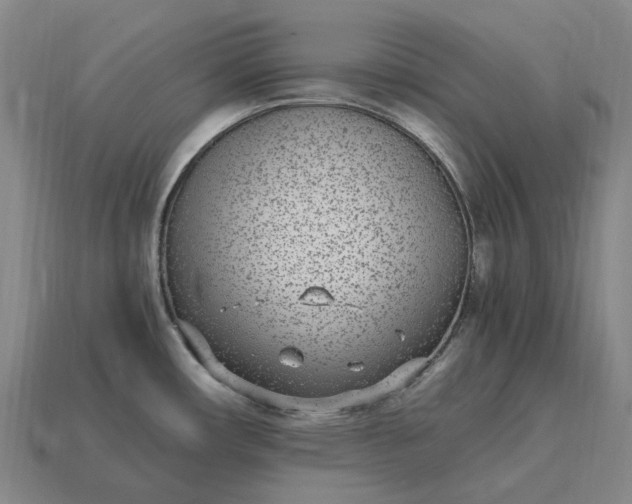 X0000115281482200911131818