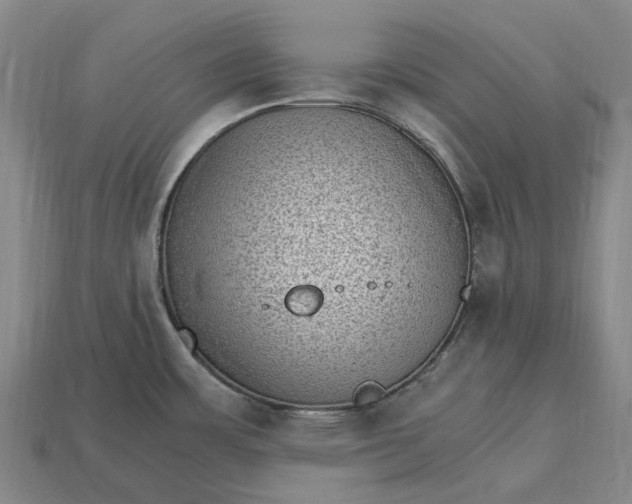 X0000115281483200911131818