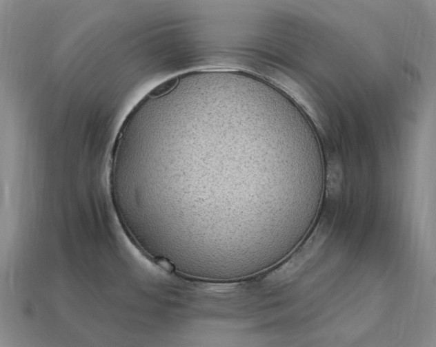 X0000115281484200911131818