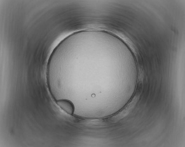 X0000115281486200911131818