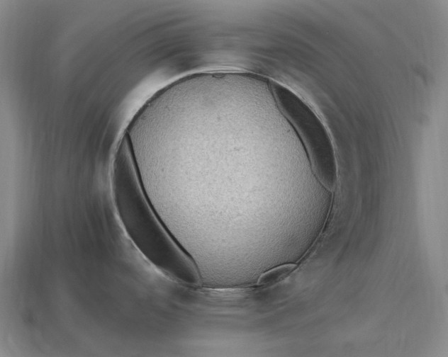 X0000115281488200911131818