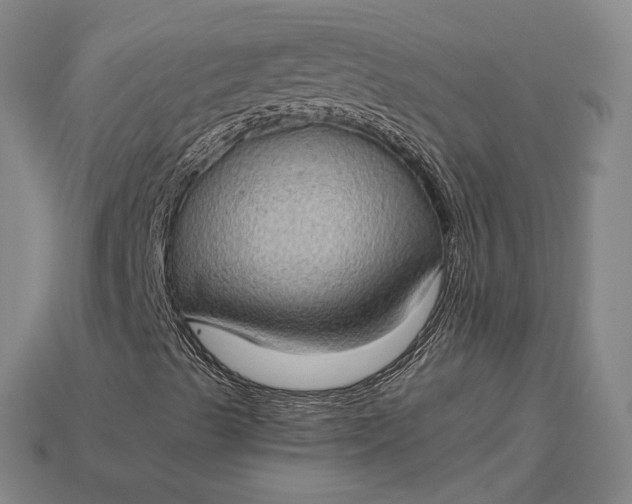 X0000115281489200911131817