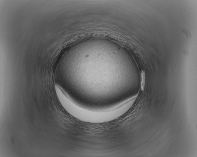 X0000115281491200911131817