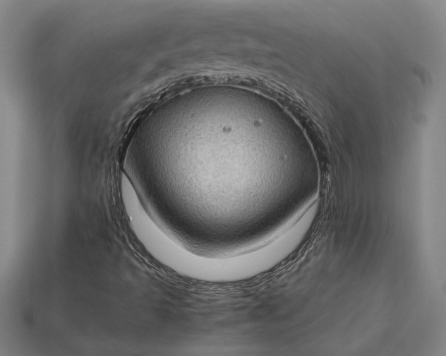 X0000115281493200911131817