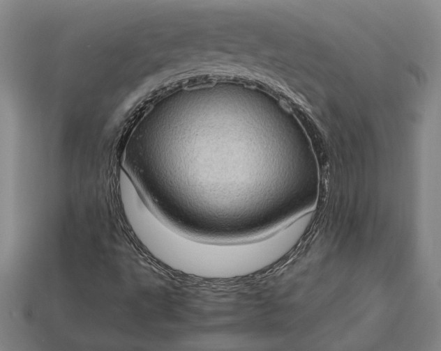 X0000115281495200911131817