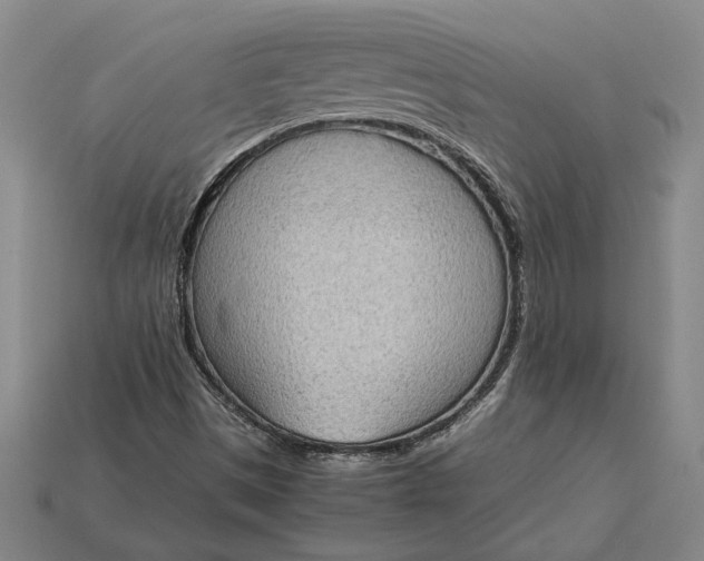 X0000115281497200911131817