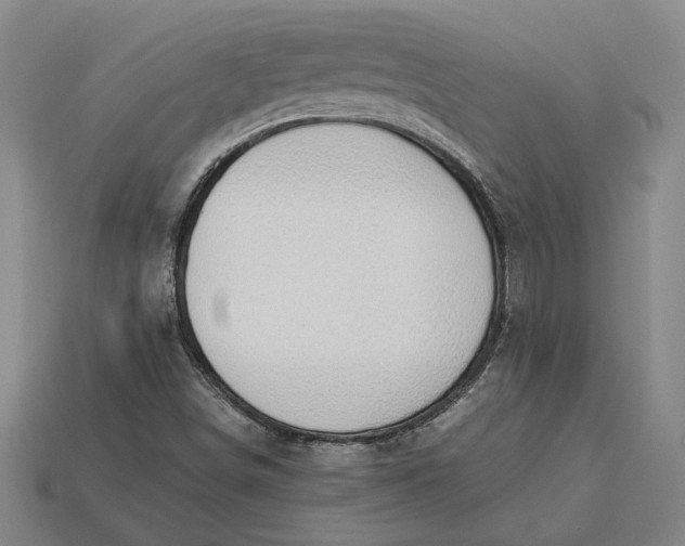 X0000115281498200911131817