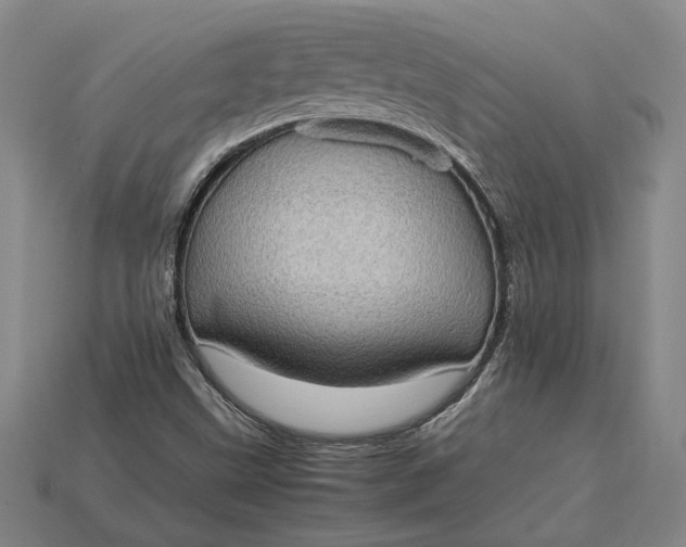 X0000115281499200911131817