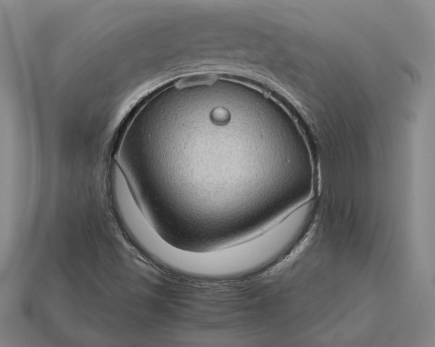 X0000115281501200911131817