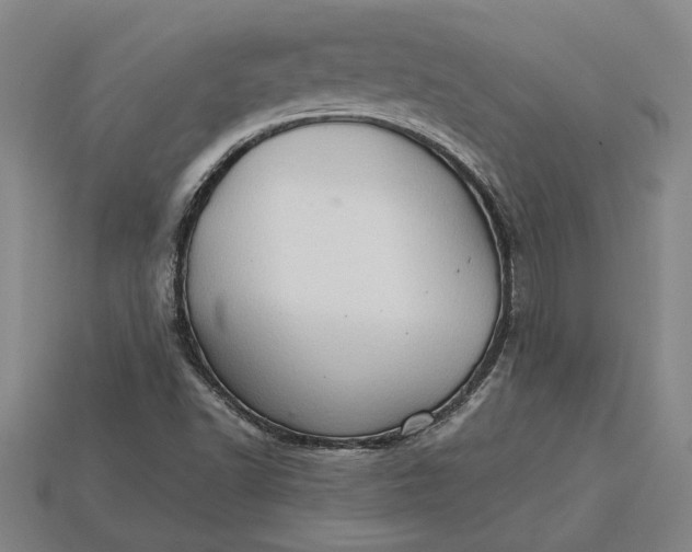 X0000115281502200911131817