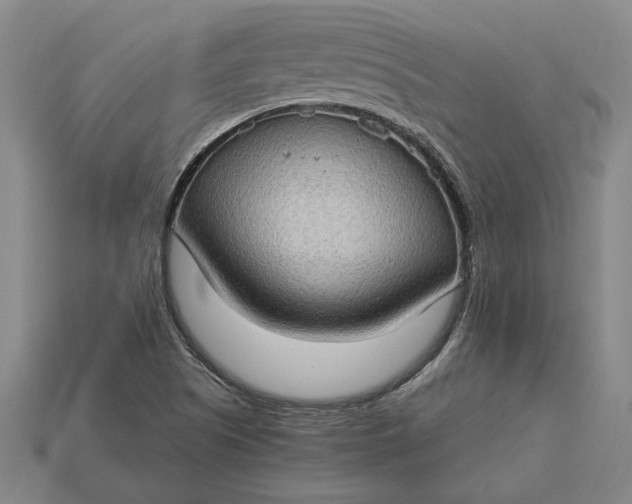 X0000115281505200911131817