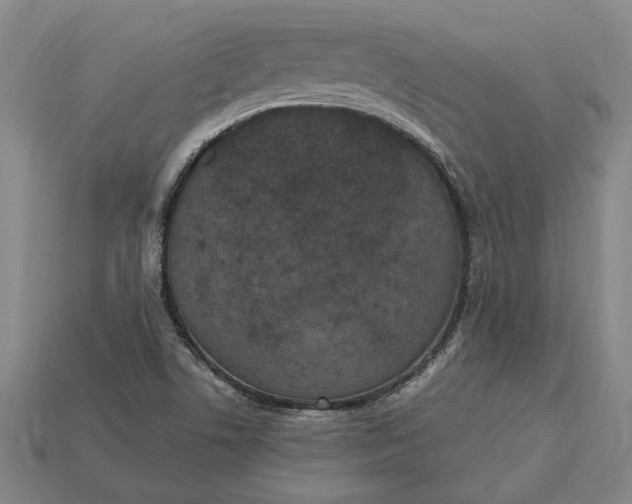 X0000115281506200911131817