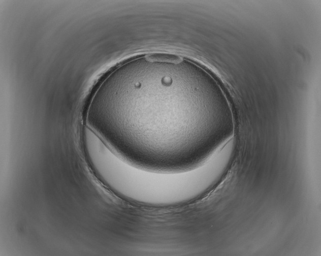 X0000115281507200911131817