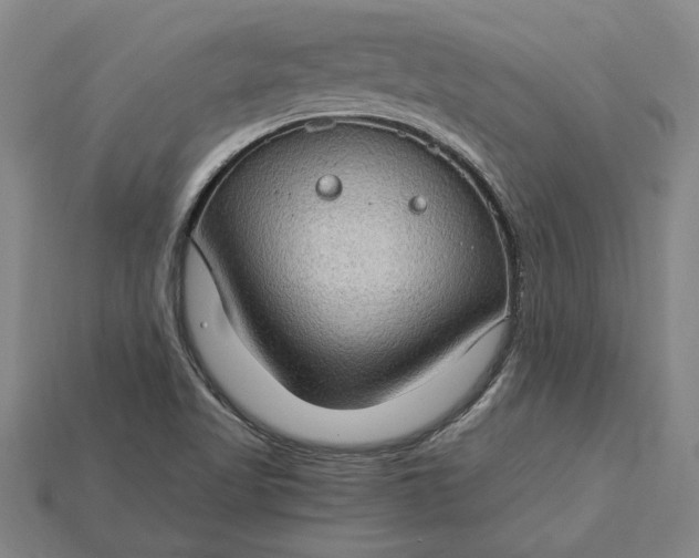 X0000115281509200911131818