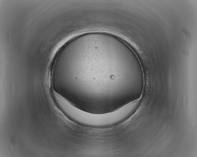 X0000115281510200911131818