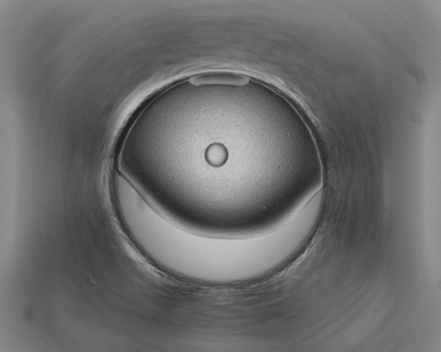 X0000115281511200911131818