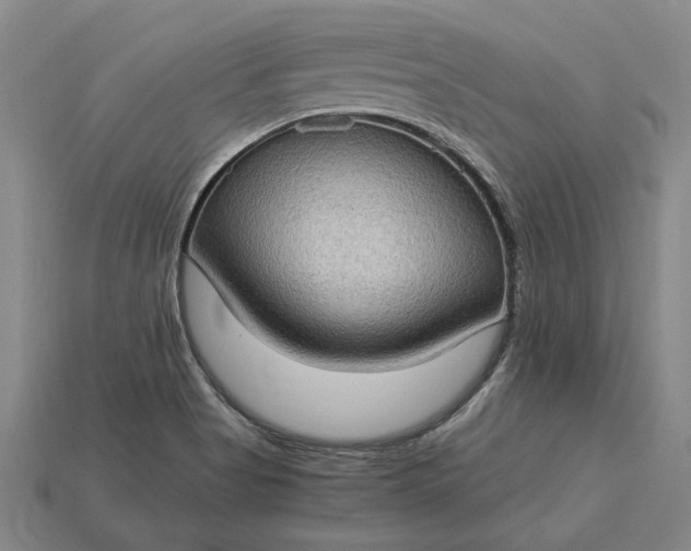 X0000115281513200911131818