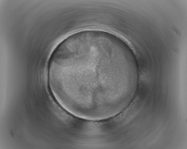 X0000115281514200911131818