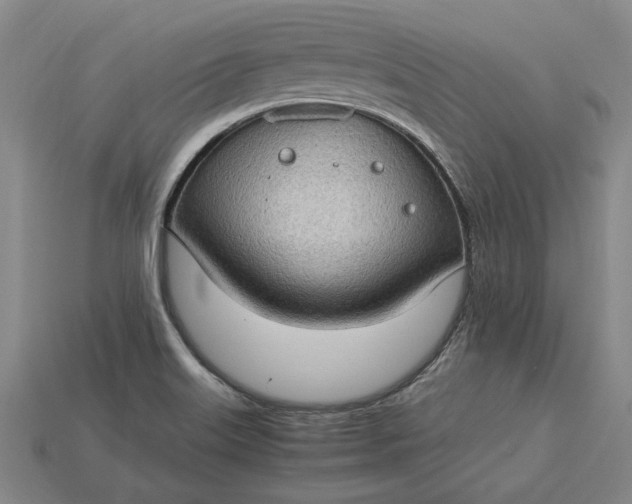 X0000115281515200911131818