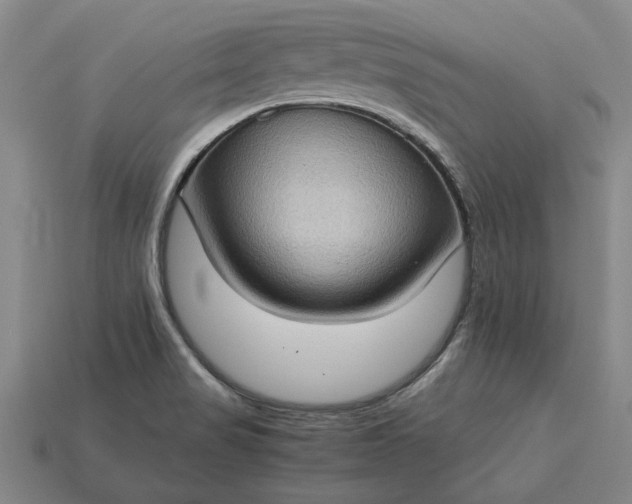 X0000115281517200911131818